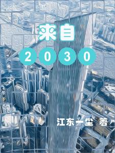 来自2030年的中国人